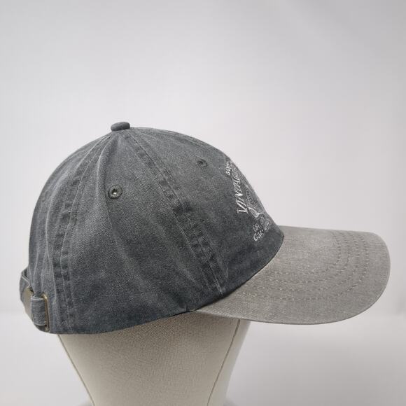 Boise Vintage Gems Baseball Cap Gray One Size Adjustable Port & Company - Picture 5 of 10